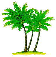 [Palm Trees]