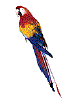 [Moving Parrot]